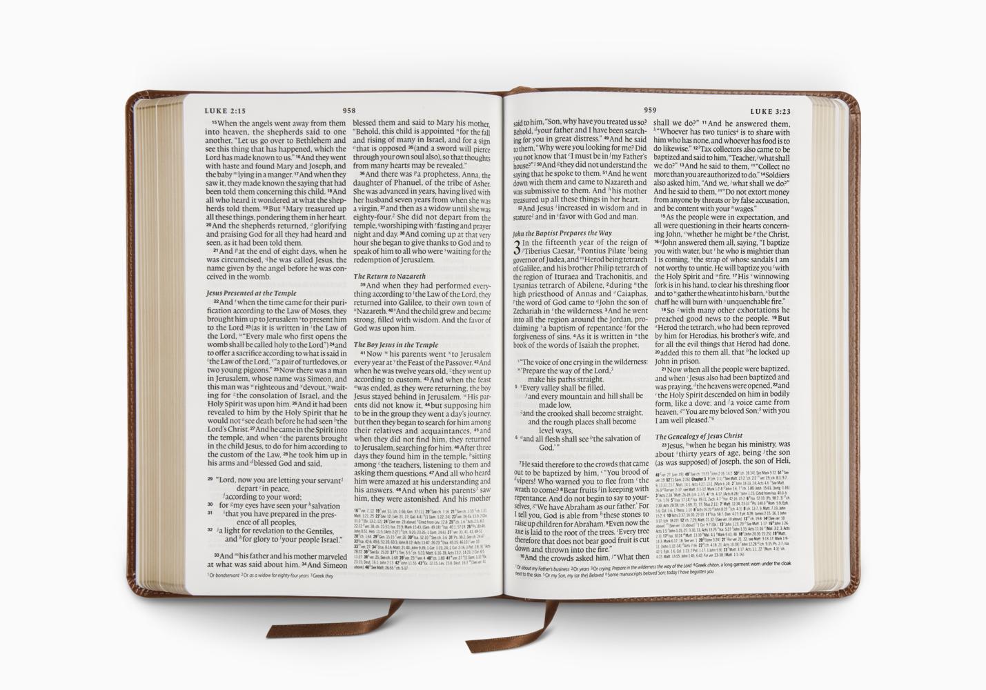 ESV BIBLE WITH CREEDS/CONFESSIONS TT, BROWN CRESS TREFOIL