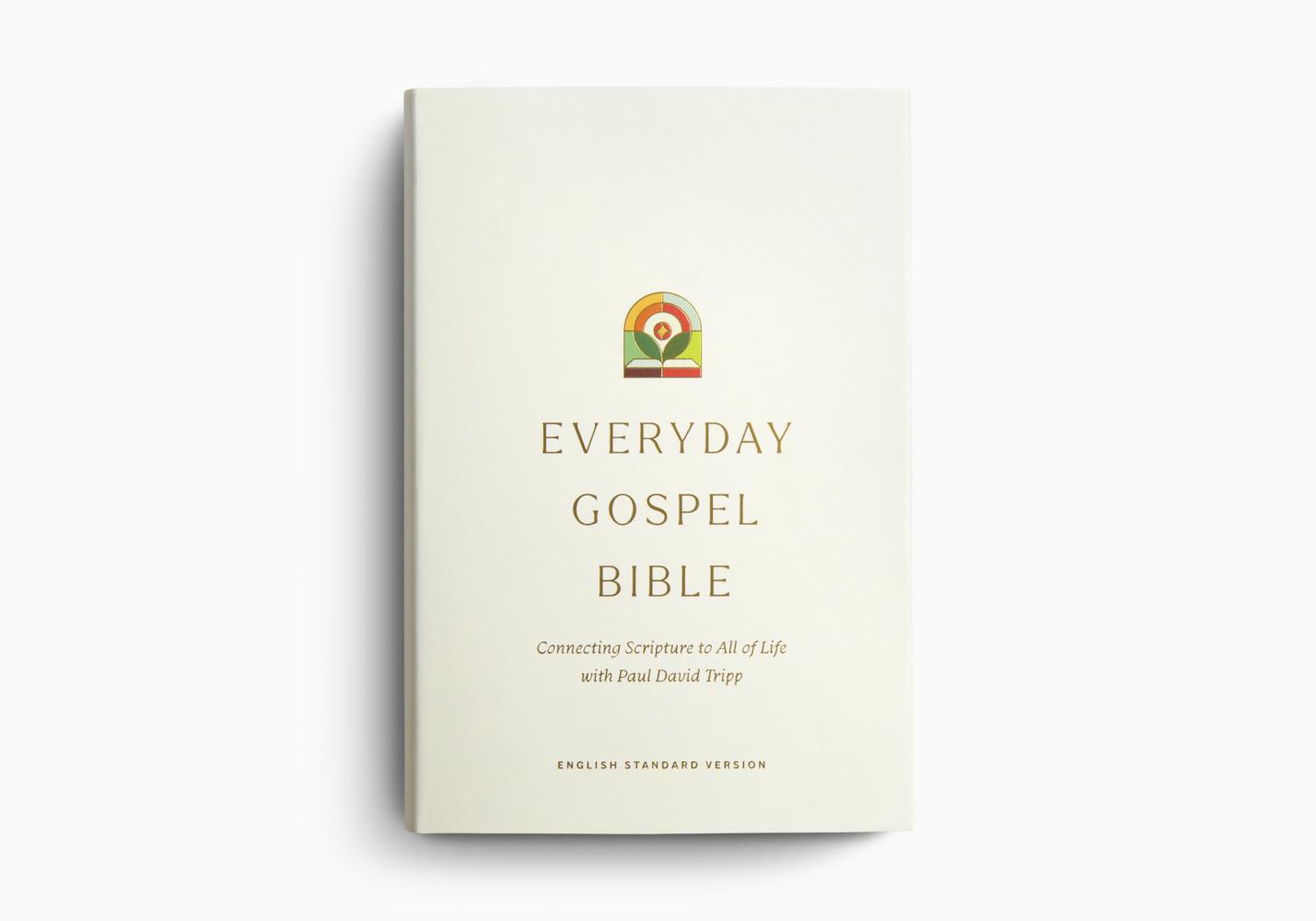 ESV EVERYDAY GOSPEL BIBLE HARDCOVER