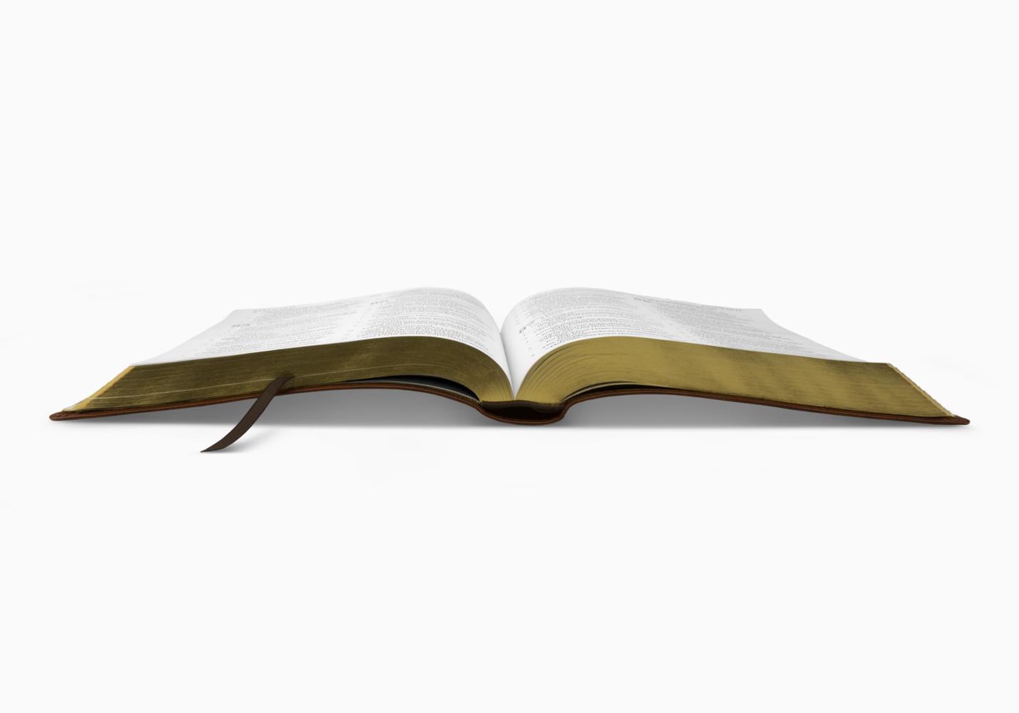 ESV LARGE PRINT BIBLE TT, DEEP BROWN