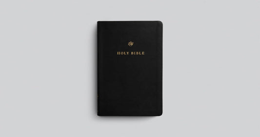 ESV BIBLE GIFT AND AWARD TRUTONE BLACK