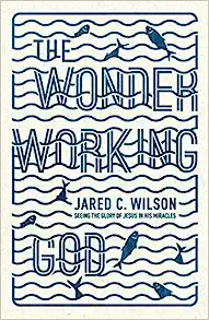 WONDER WORKING GOD SEEING GLORY OF JESUS