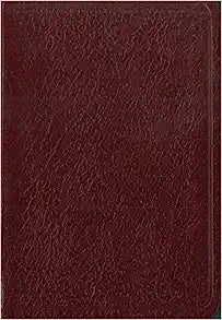 SPANISH NVI BIBLIA DE BOLSILLO COMPACT BLBURG