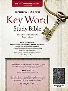 NIV 1984 HEBREW GREEK KEY WORD STUDY BI BL