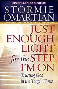 JUST ENOUGH LIGHT FOR THE STEP IM ON