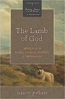 SEEING JESUS IN OT BOOK 2 THE LAMB OF GOD BI STUDY
