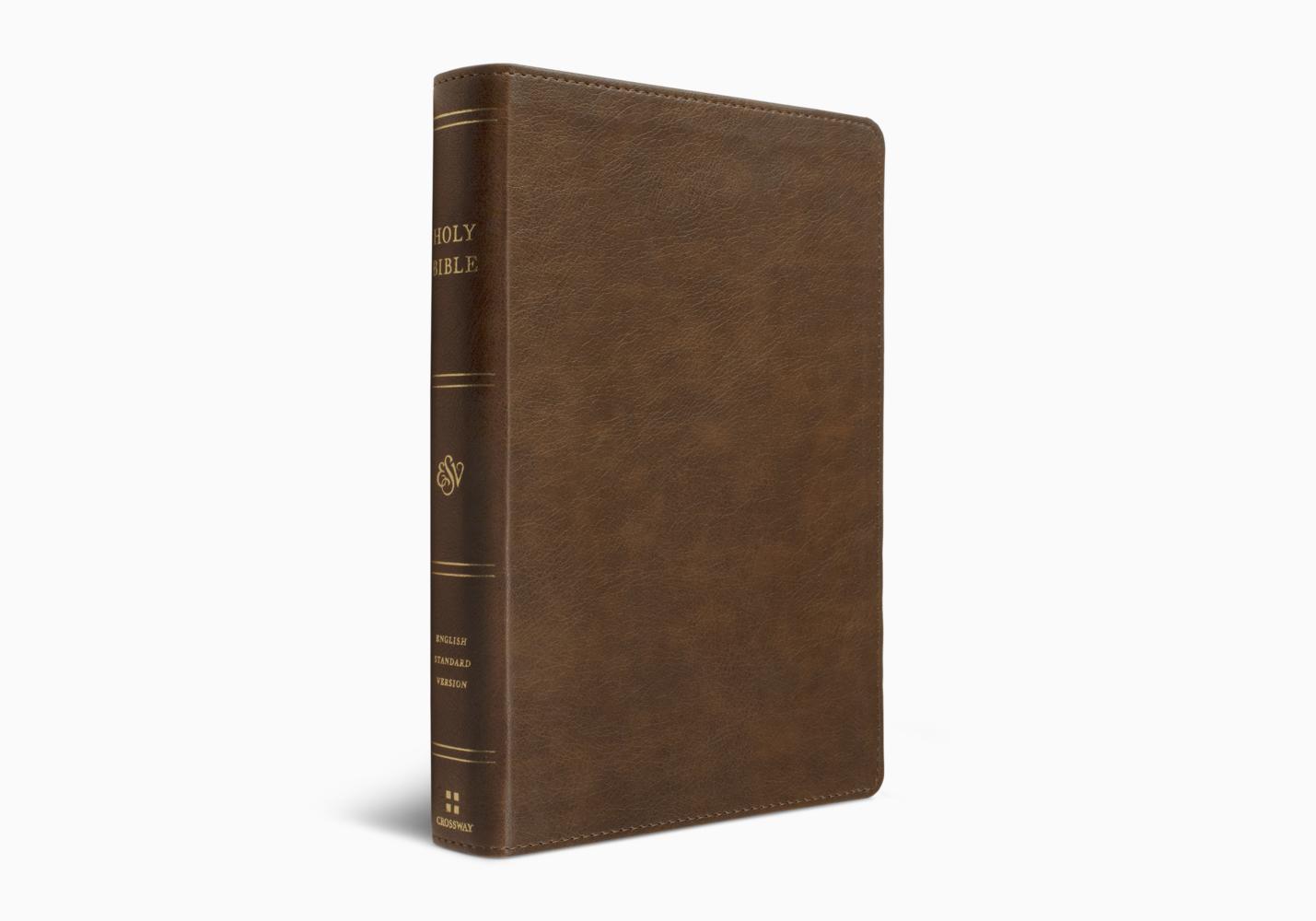 ESV HOLY BIBLE: DYSLEXIA-FRIENDLY ED. TT