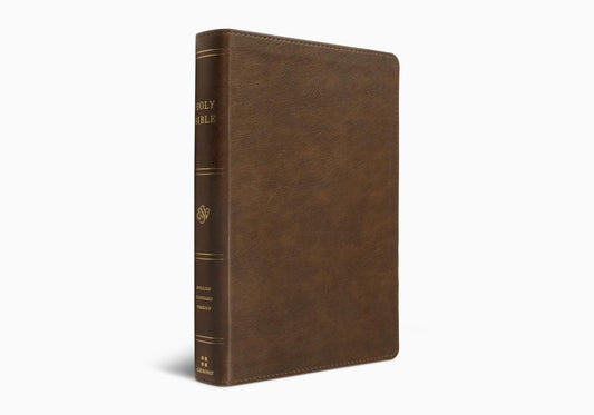 ESV HOLY BIBLE: DYSLEXIA-FRIENDLY ED. TT