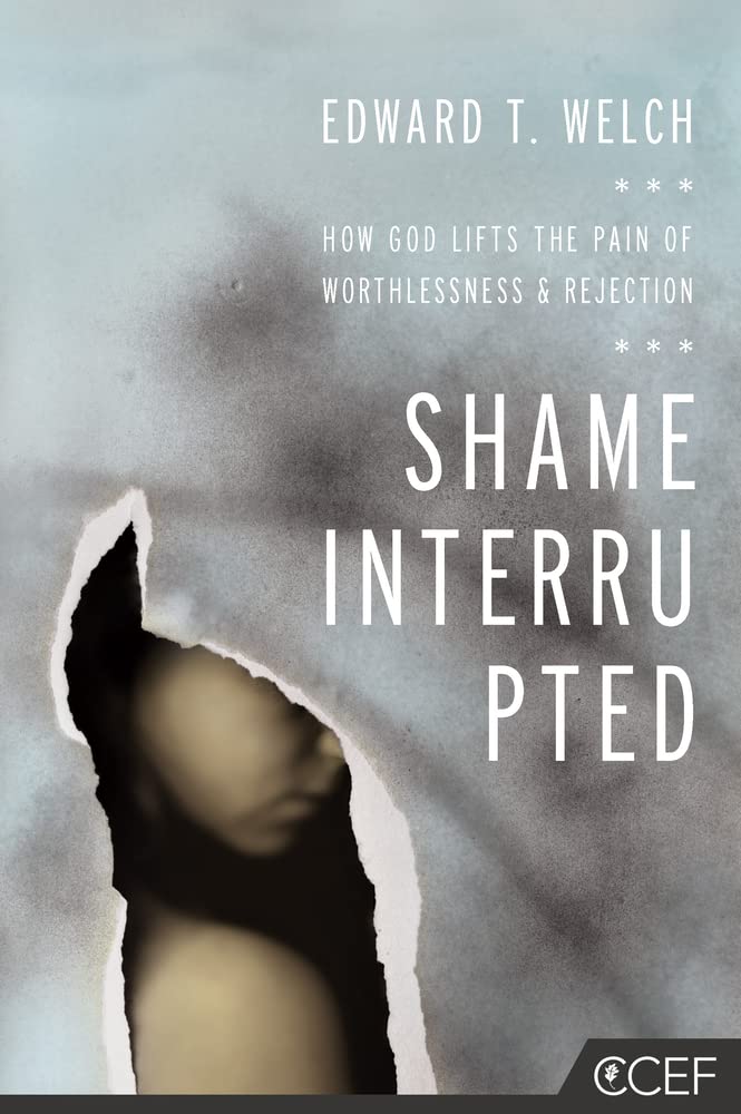 SHAME INTERRUPTED HOW GOD LIFTS