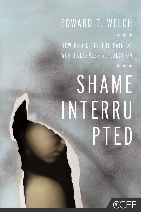 SHAME INTERRUPTED HOW GOD LIFTS