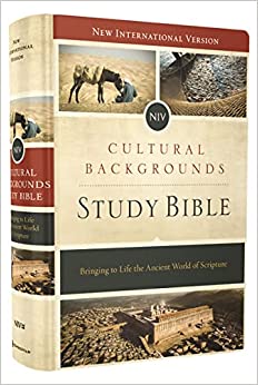 NIV ZON CULTURAL BACKGROUNDS STUDY BI HC