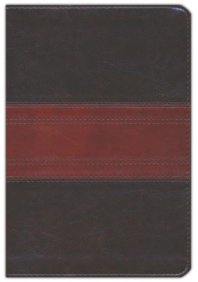 ESV PERSONAL SIZE REF BIBLE TT DEEP BROWN TRAIL
