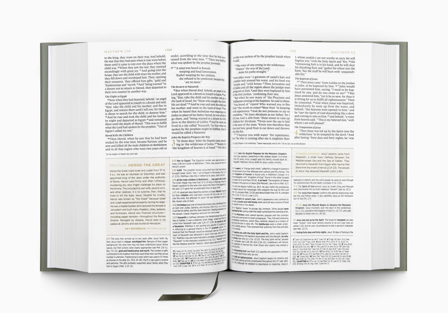 ESV MEN'S STUDY BIBLE HARDCOVER