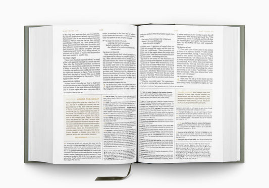 ESV MEN'S STUDY BIBLE HARDCOVER