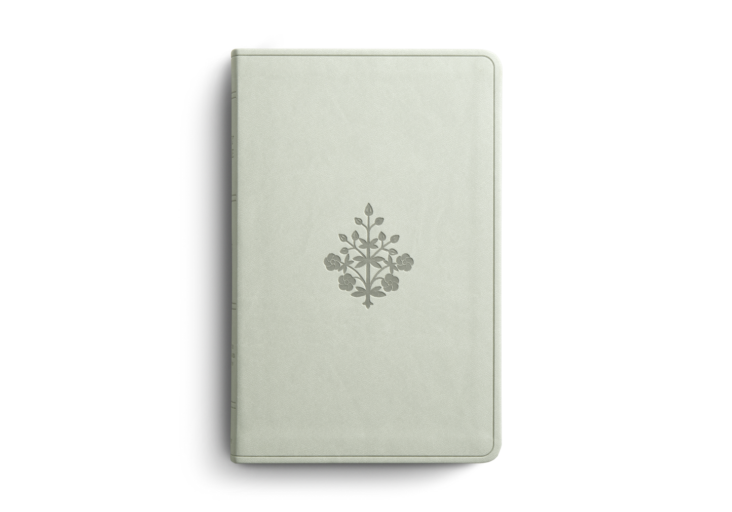 ESV LARGE PRINT VALUE THINLINE BIBLE