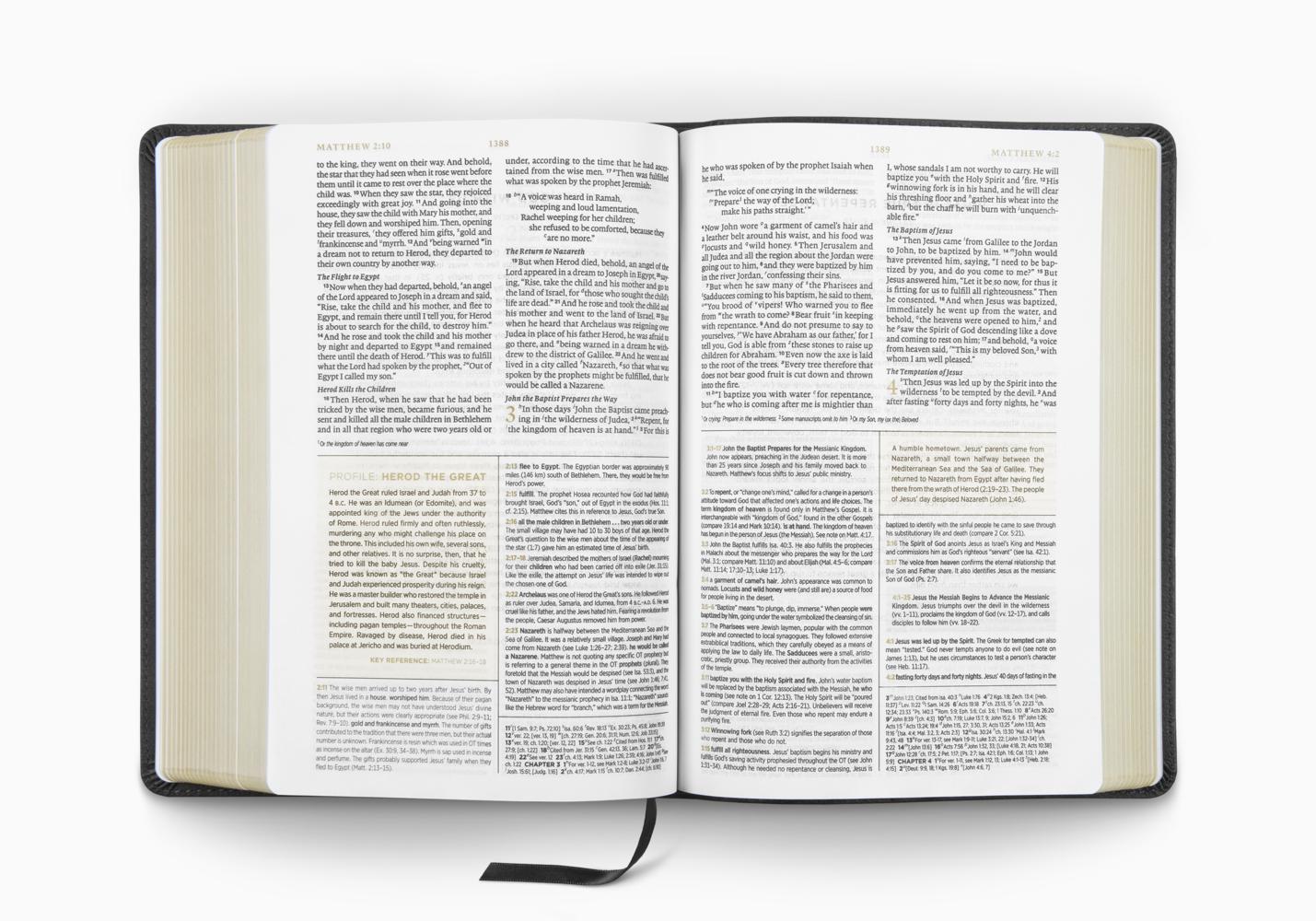 ESV MEN'S STUDY BIBLE TT, CHARCOAL