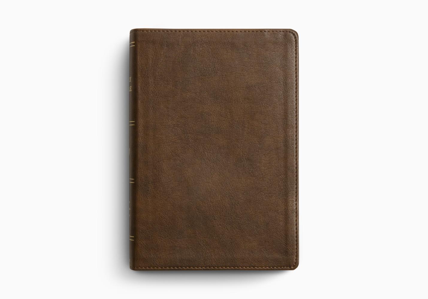 ESV HOLY BIBLE: DYSLEXIA-FRIENDLY ED. TT