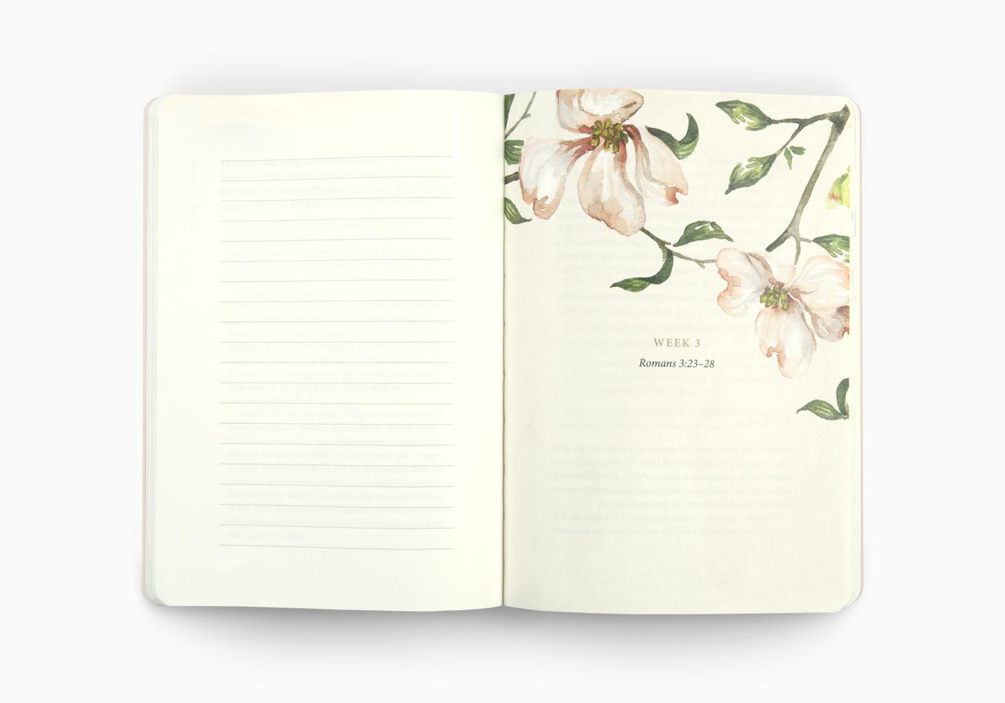 ESV PRAYER JOURNAL: 30 DAYS ON THE GOSPEL PB