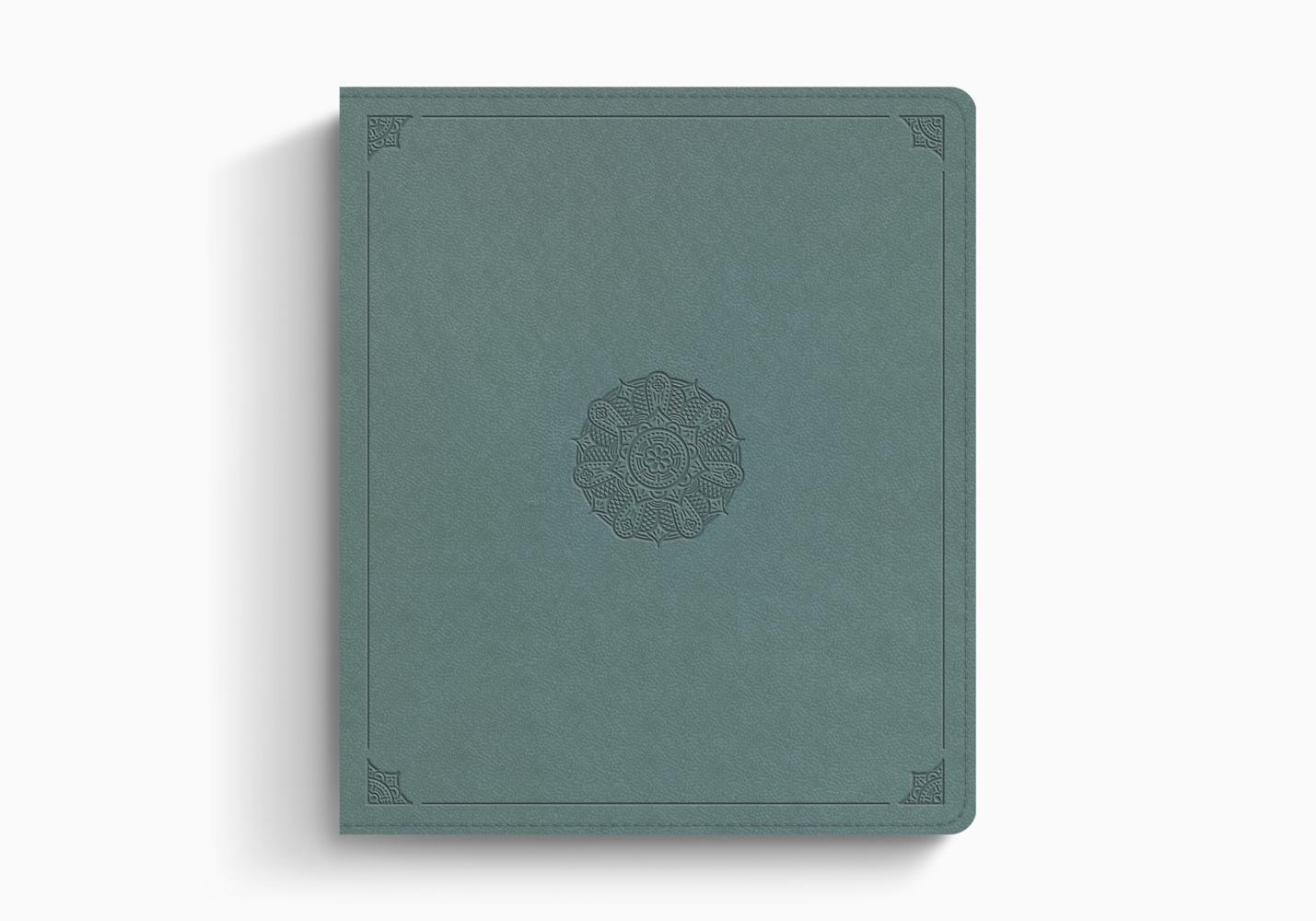 ESV JOURNALING BIBLE TT, PARIS SKY