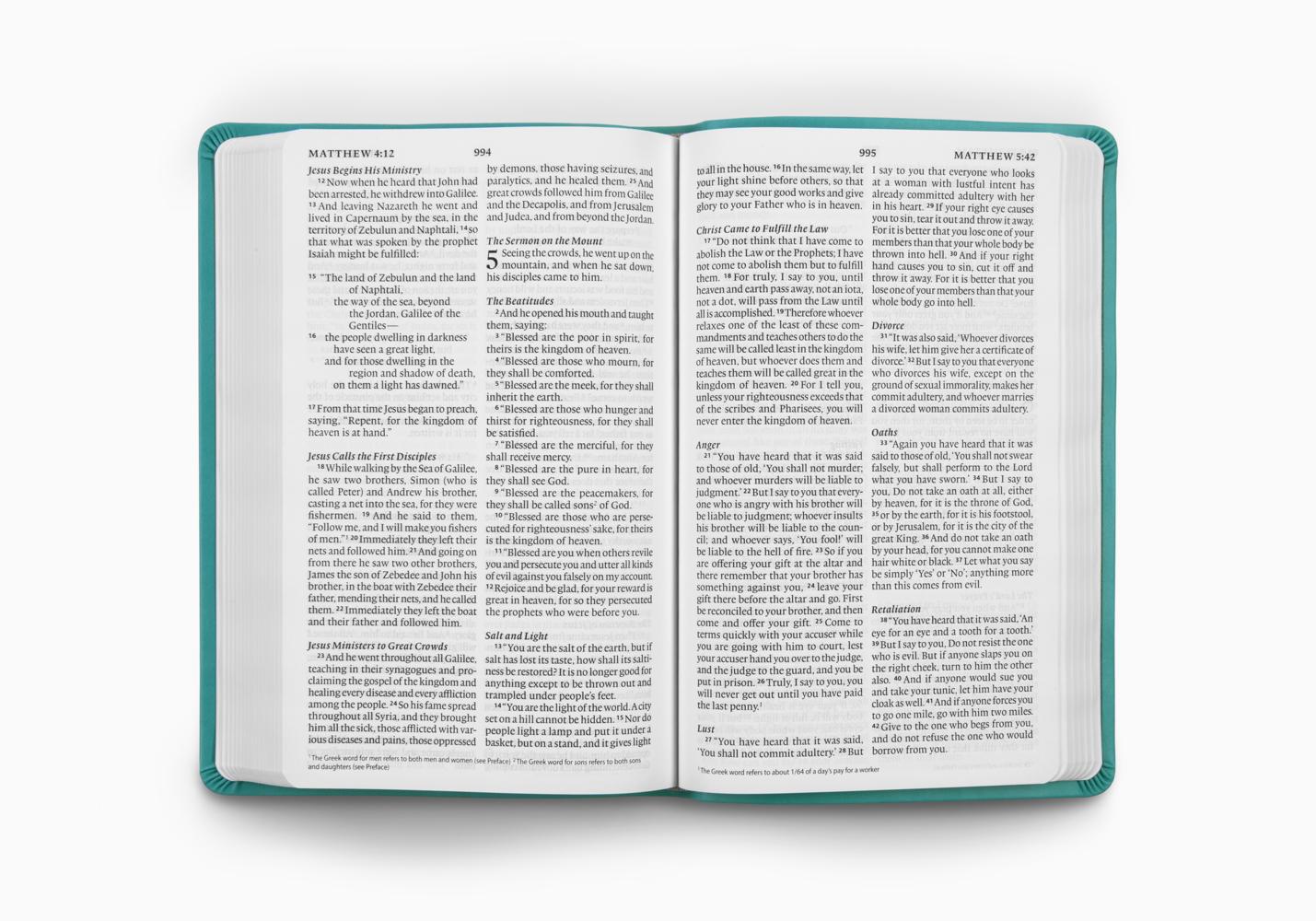 ESV LARGE PRT VALUE THINLINE BI TT TURQ EMBLEM