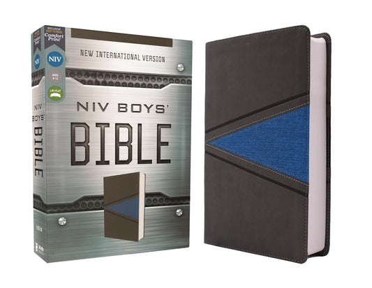 NIV BOYS BIBLE  GRAY/BLUE LS