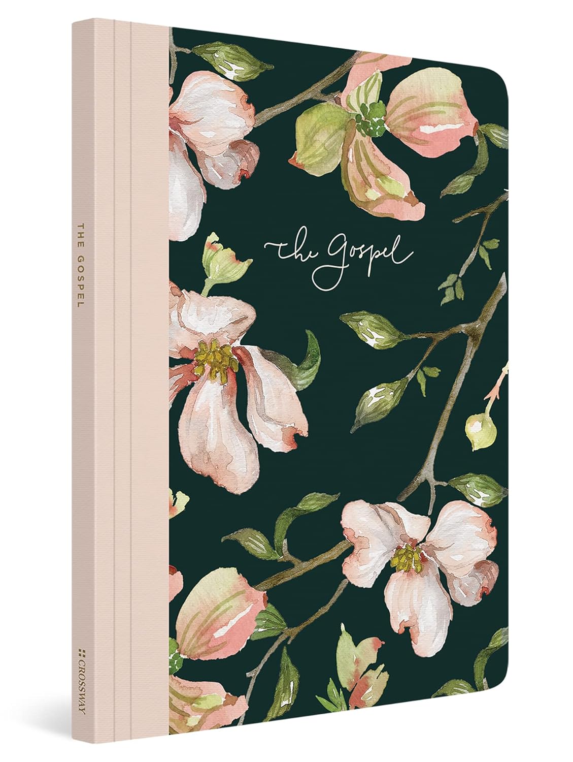 ESV PRAYER JOURNAL: 30 DAYS ON THE GOSPEL PB