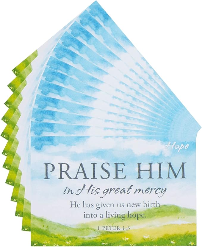 DIC IBB-79 BKM IBB HOPE 1 PETER 1:3 2X3