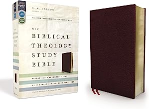 NIV ZON BIBLICAL THEOLOGY STUDY BI BL BURG IDX
