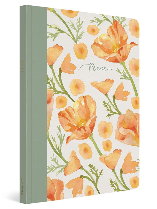 ESV PRAYER JOURNAL: 30 DAYS ON PEACE PB