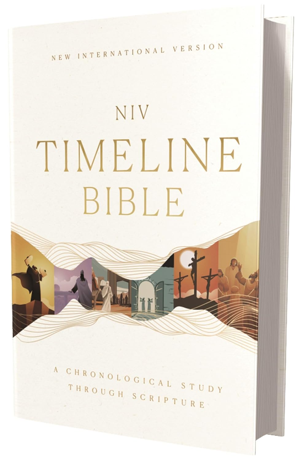 NIV TIMELINE BIBLE HC
