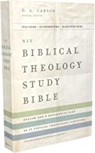 NIV ZON BIBLICAL THEOLOGY STUDY BI HARDCOVER