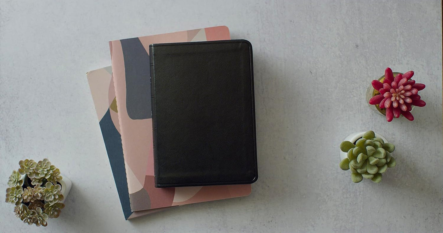 ESV COMPACT VALUE LARGE PRT BI TT BLACK