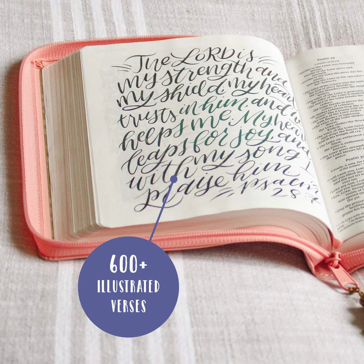 NIV KIDS BI ZON  BEAUTIFUL WORD BIBLE F GIRLS FULL-COLOR