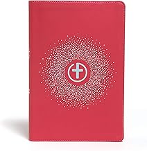 CSB ONE BIG STORY BIBLE, PINK LEATHERTOUCH