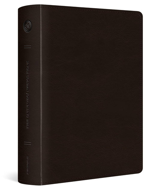 ESV JOURNALING BIBLE 1 COLUMN LARGE PRT TT DEEP BR