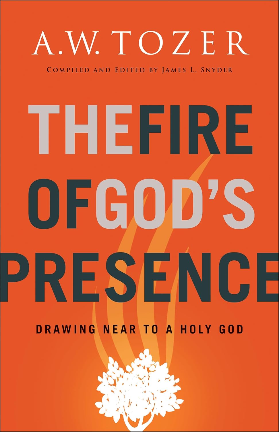OMB FIRE OF GODS PRESENCE