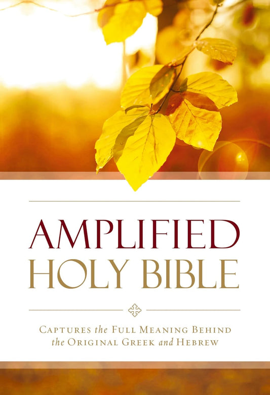 ZON AMPLIFIED OUTREACH BIBLE