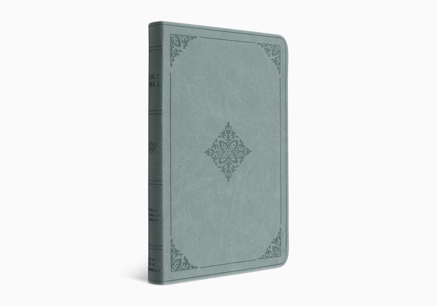 ESV VALUE THINLINE BIBLE TT, PARIS SKY