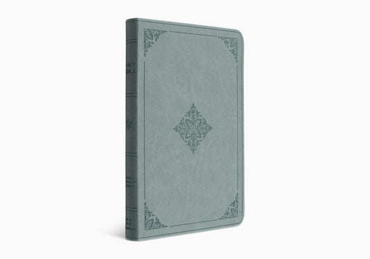 ESV VALUE THINLINE BIBLE TT, PARIS SKY