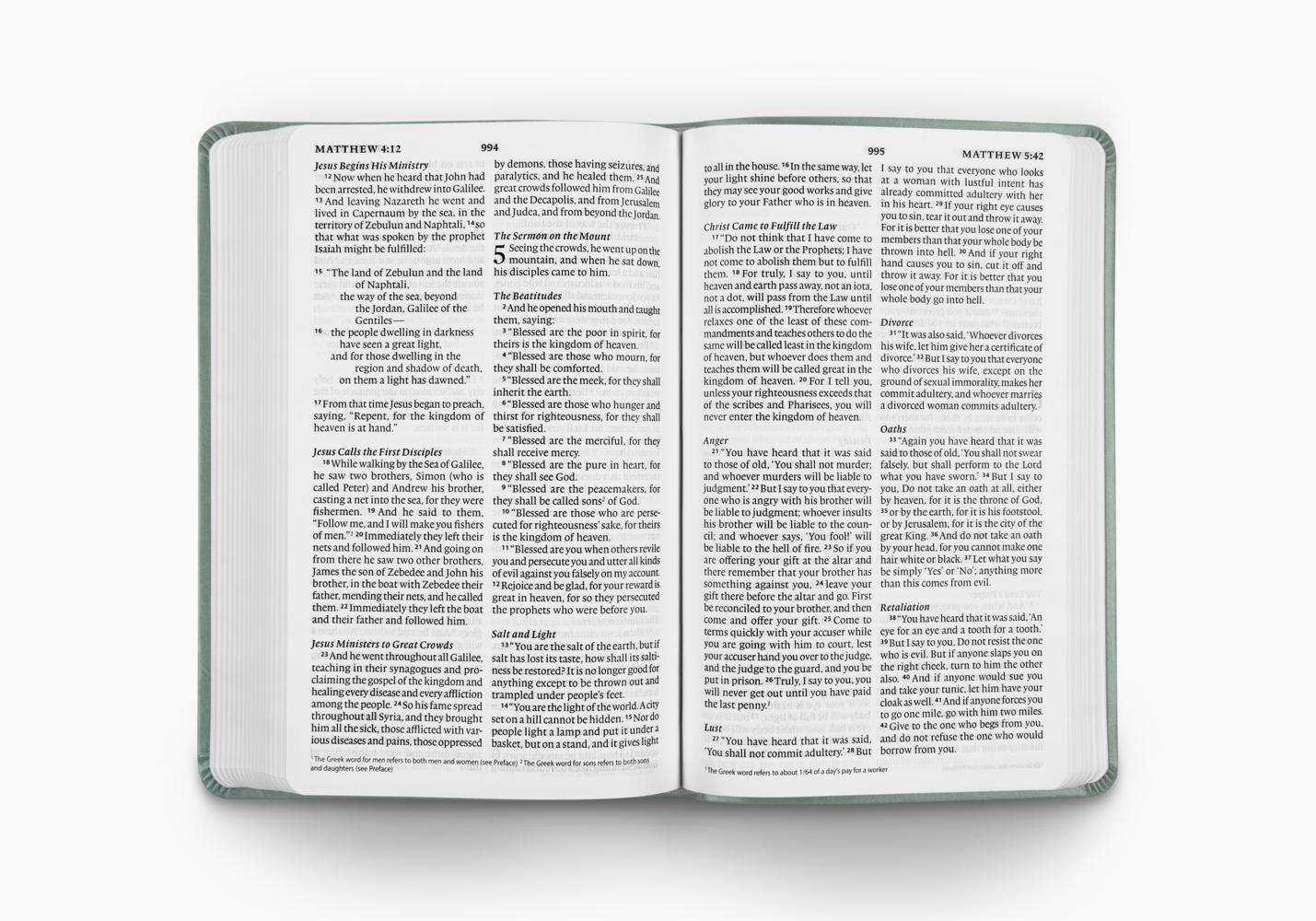ESV VALUE THINLINE BIBLE TT, PARIS SKY
