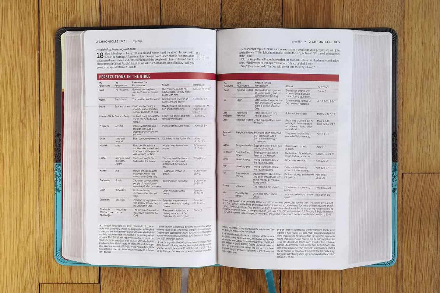 Life Application Study Bible: New International Version, Gray/Teal, Leathersoft, Personal Size: Red Letter Edition