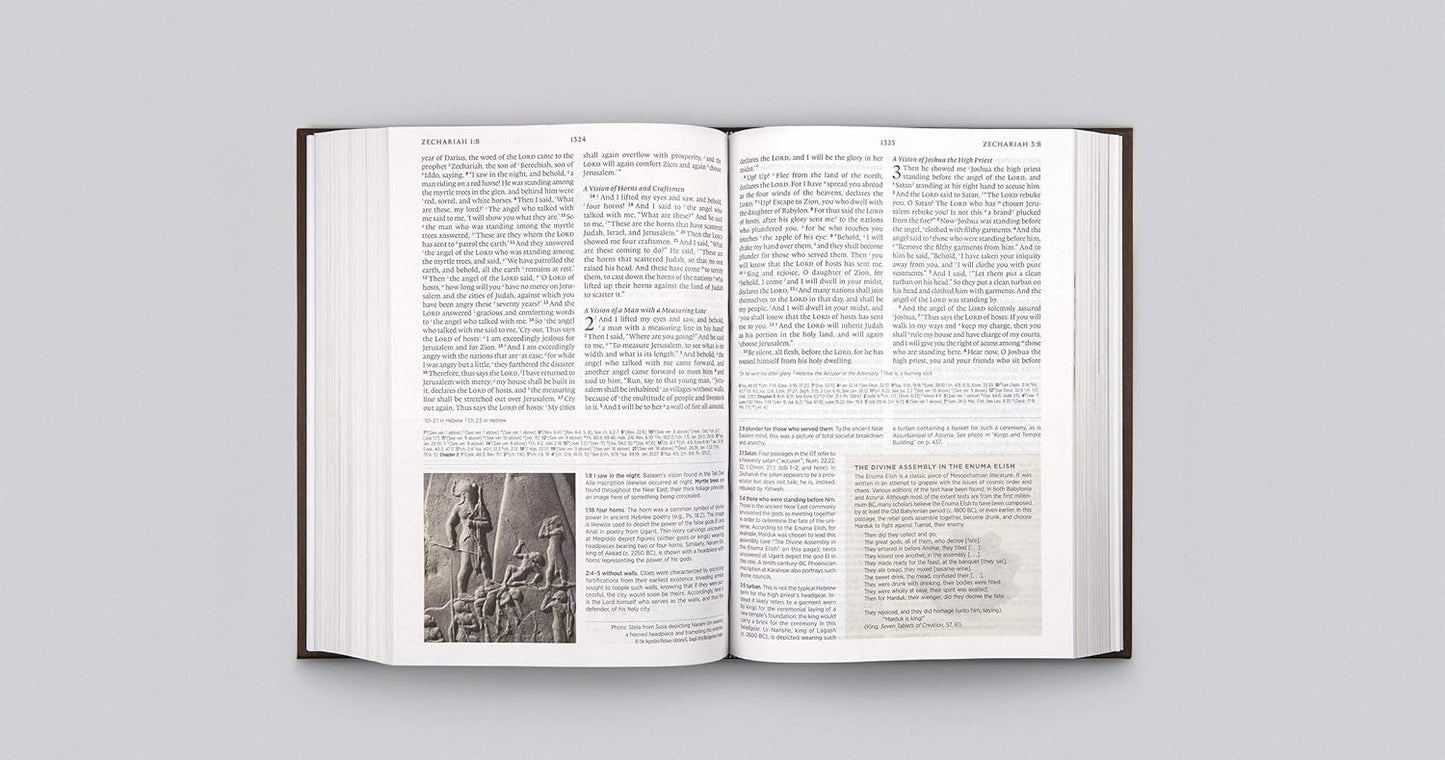 ESV ARCHAEOLOGY STUDY BIBLE HC