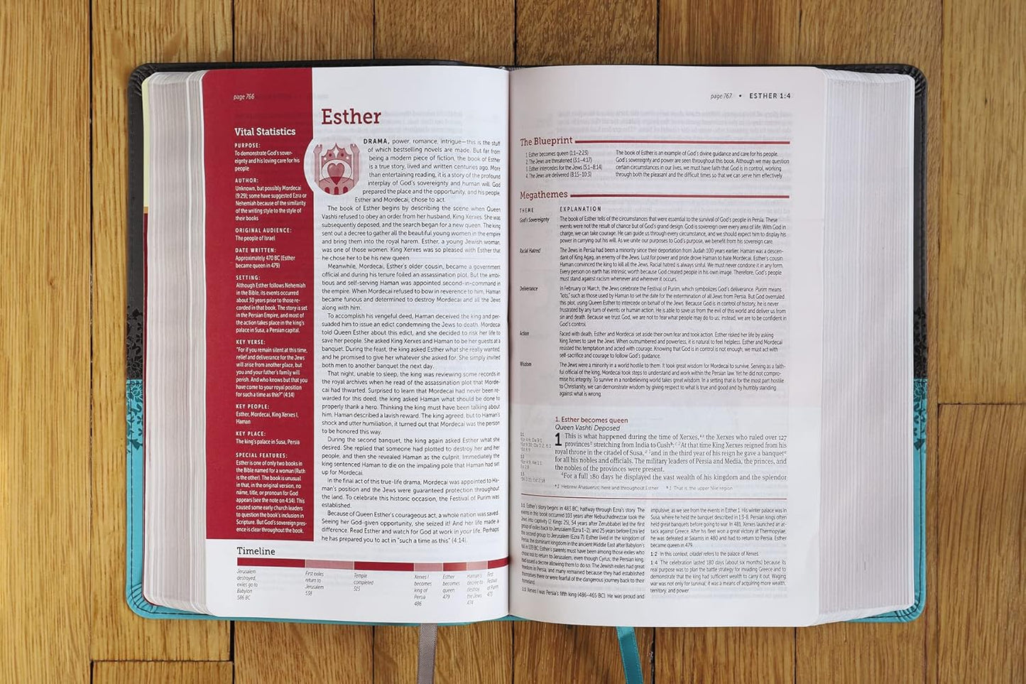 Life Application Study Bible: New International Version, Gray/Teal, Leathersoft, Personal Size: Red Letter Edition