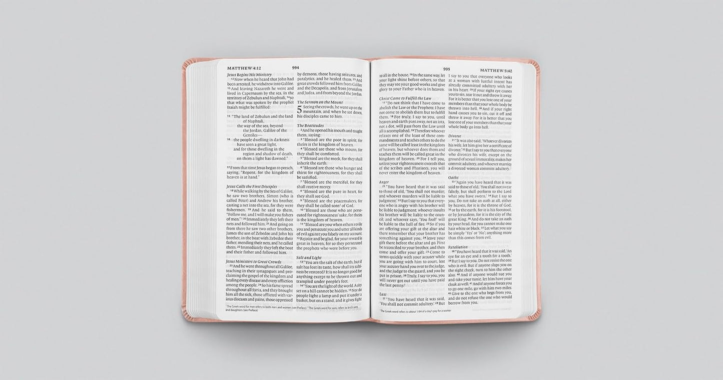 ESV LP VALUE THINLINE BIBLE TT, BLUSH