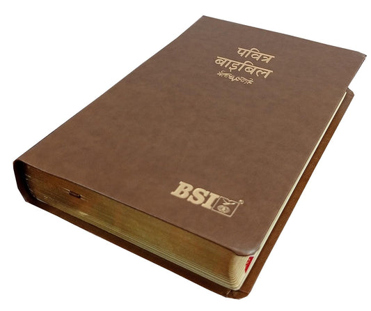 BSI HINDI PU L BIBLE GILT BROWN TI
