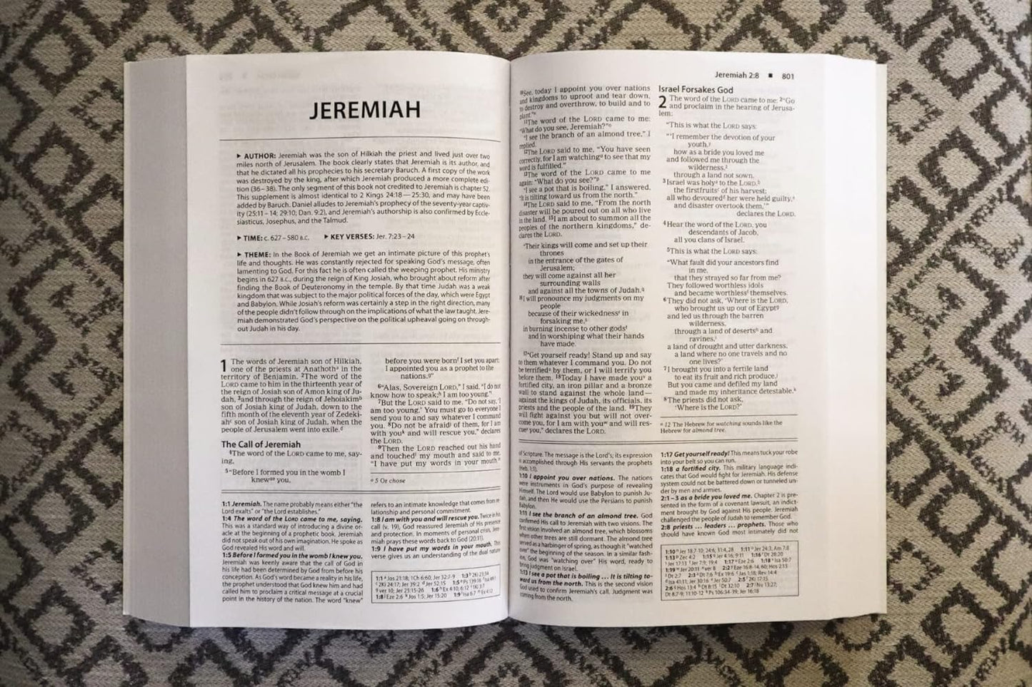 ZON NIV BASIC STUDY BIBLE SOFT COVER