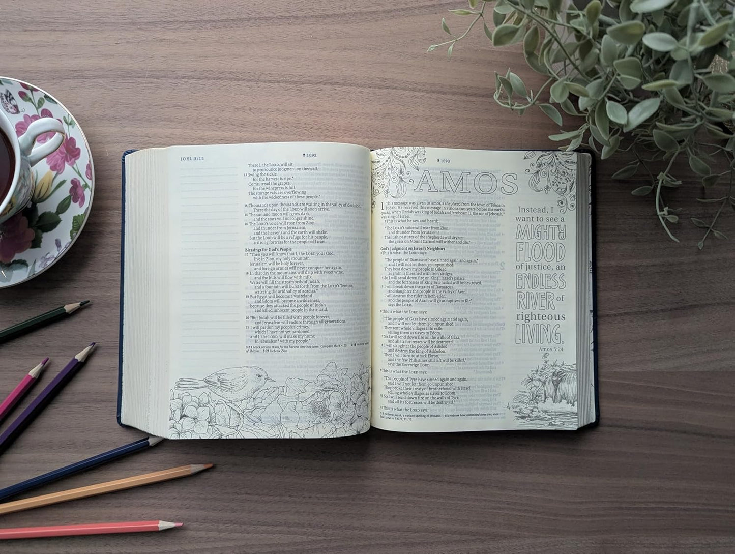 NLT INSPIRE BIBLE HC NAVY