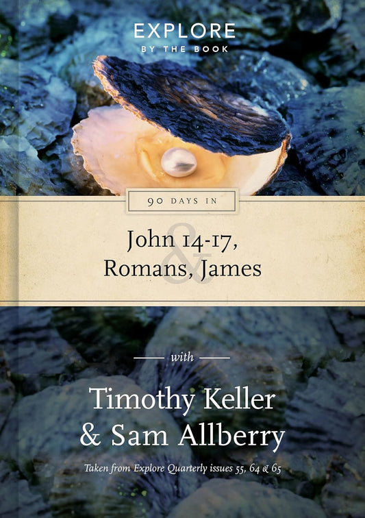 90 DAYS IN JOHN 14017 ROMANS JAMES