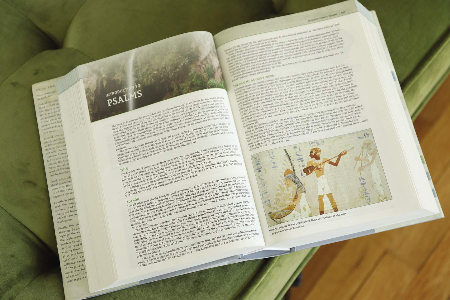 NIV ZON BIBLICAL THEOLOGY STUDY BI HARDCOVER