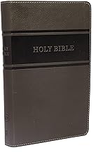 KJV TN DELUXE GIFT BIBLE STANDARD SZ RLE LS GRAY
