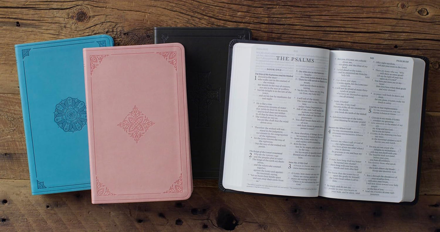 ESV LP VALUE THINLINE BIBLE TT, BLUSH